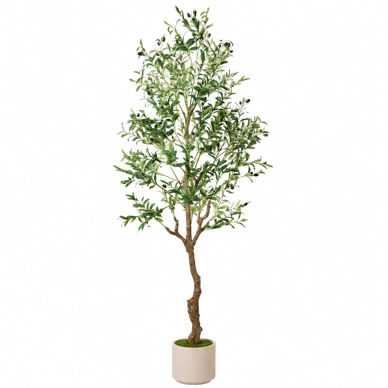 Albero di Ulivo Artificiale 160 cm con Vaso Decorativo, Verde