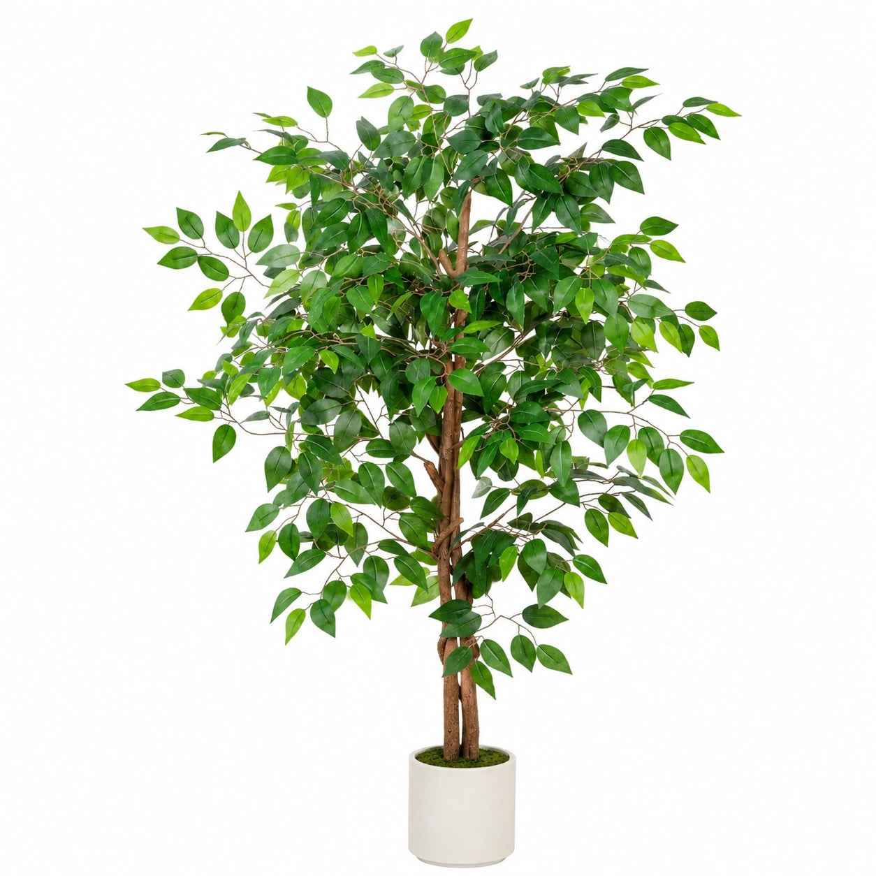 Pianta di Ficus Artificiale Verde con Vaso