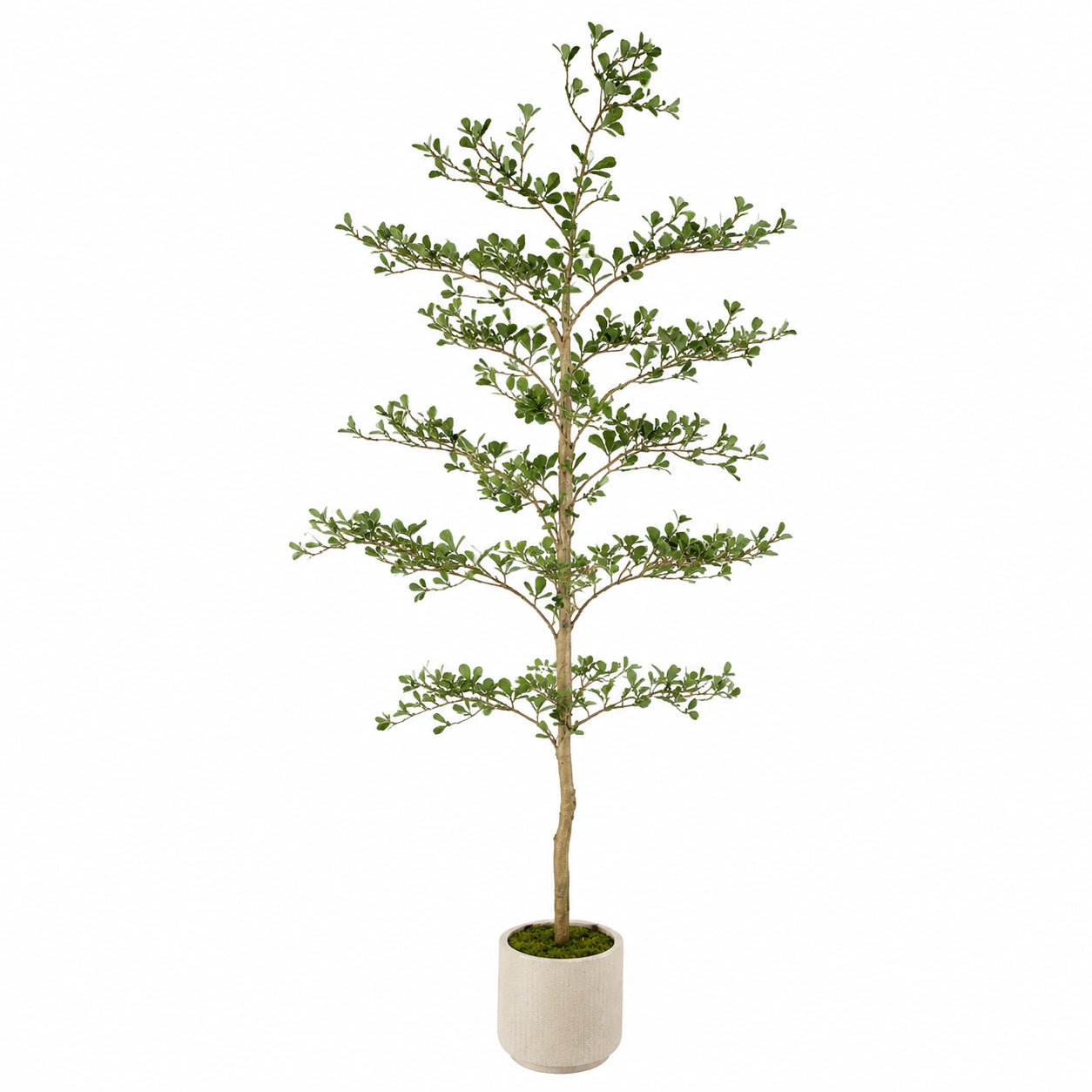 Pianta Decorativa Artificiale 180 cm Verde con Vaso