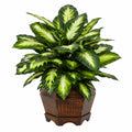 Pianta Ornamentale Artificiale con Foglie Verdi 90 cm