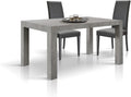 Tavolo da pranzo PAZZO DESIGN, 160 × 90 × 77 cm, Grigio, allungabile, per sala da pranzo e cucina